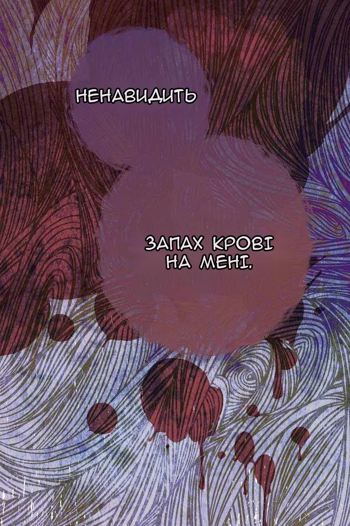 Сторінка 41