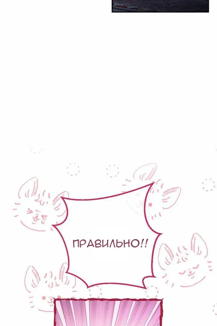 Сторінка 47