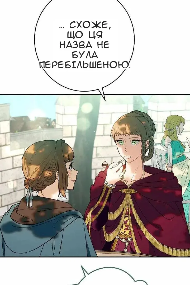 Сторінка 107