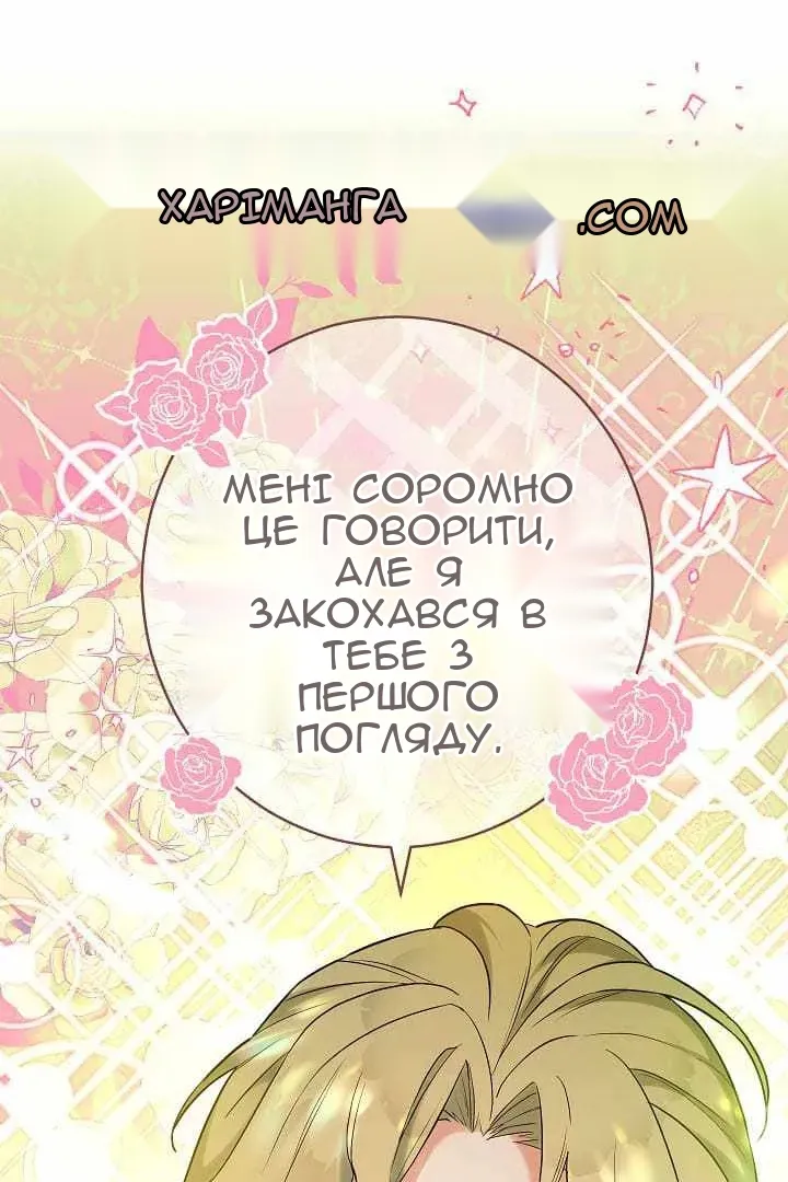 Сторінка 28