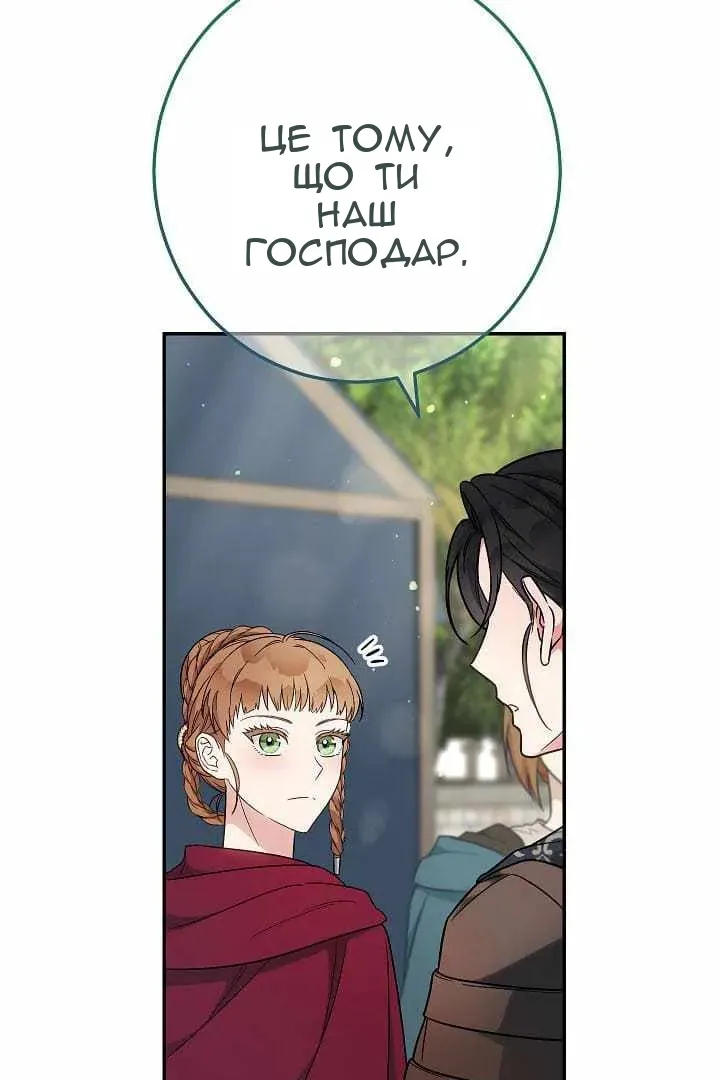 Сторінка 71