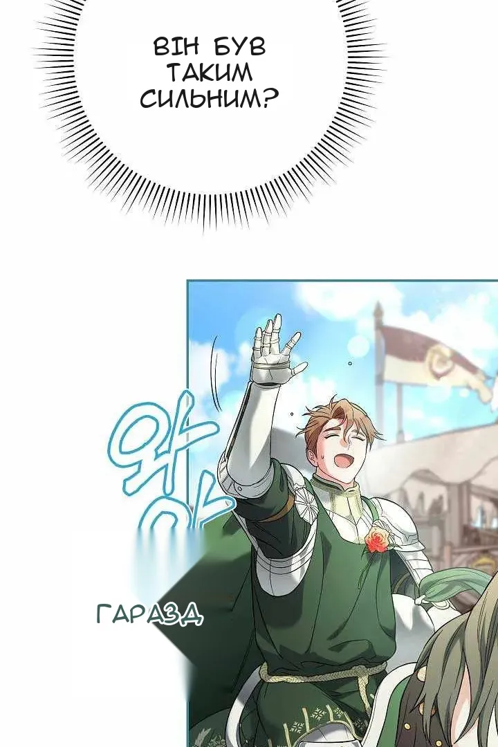 Сторінка 29