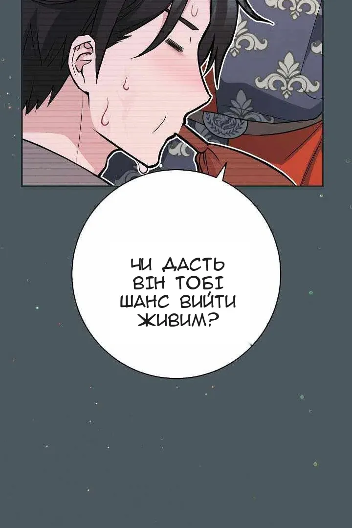 Сторінка 23