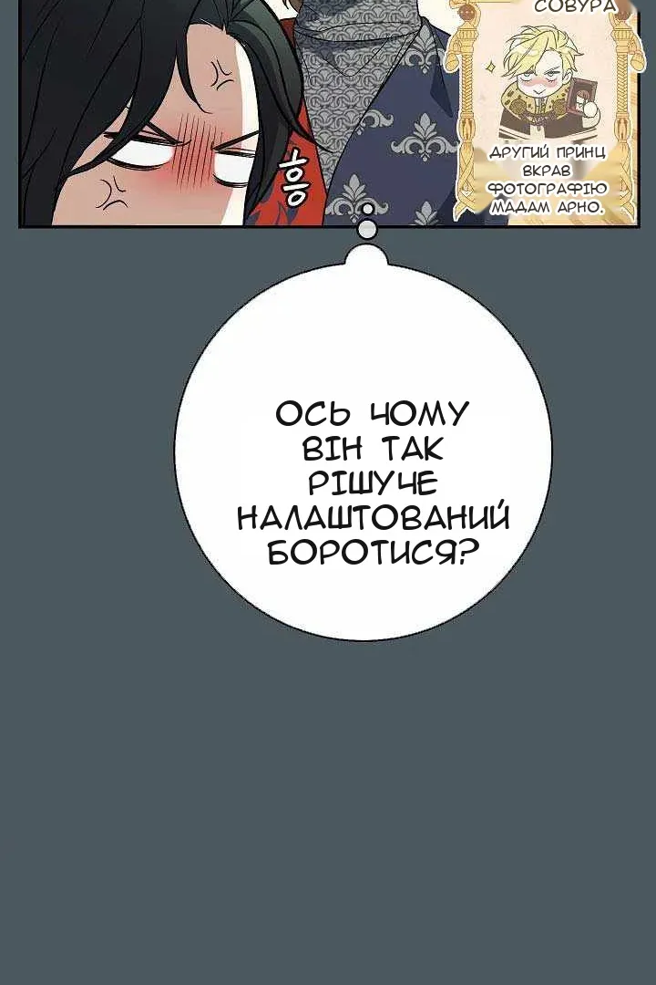 Сторінка 31