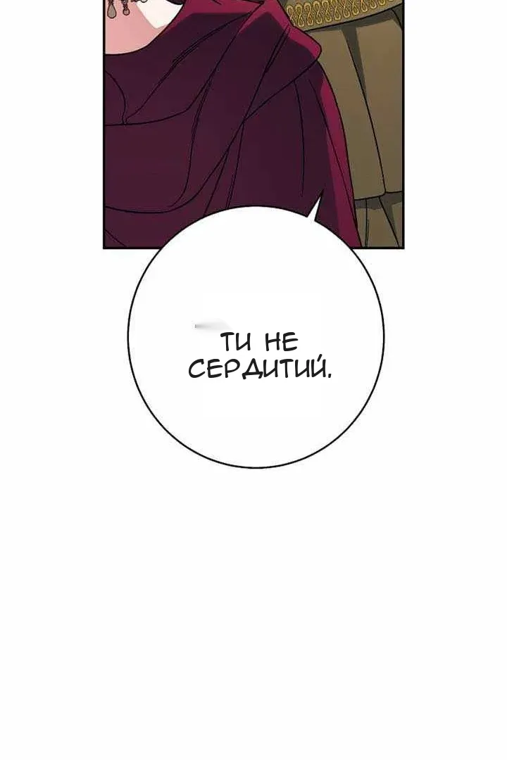 Сторінка 27