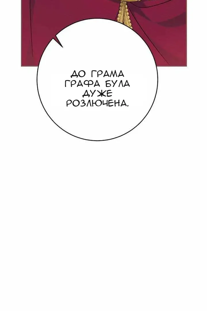 Сторінка 29