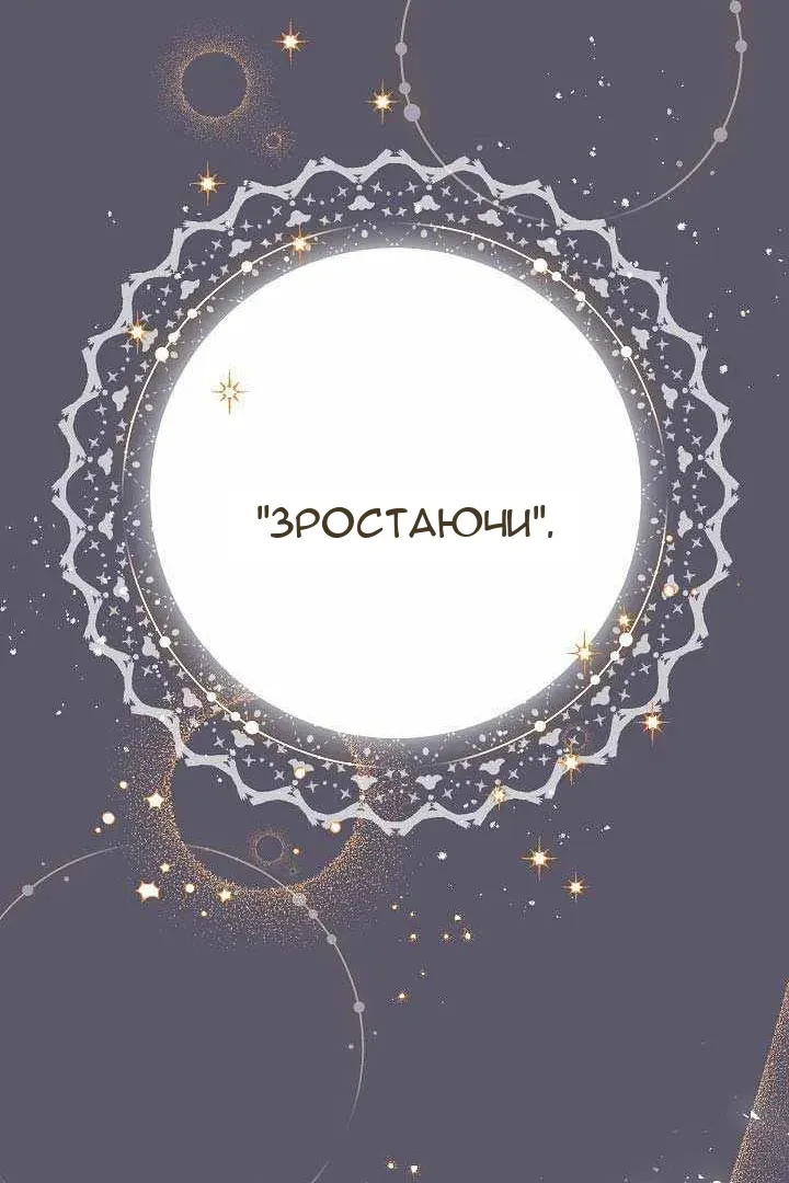 Сторінка 17