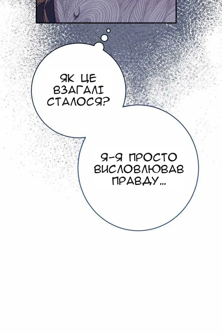 Сторінка 111
