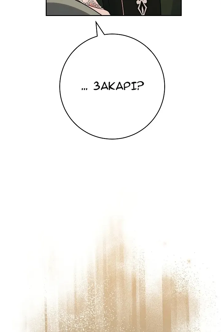 Сторінка 25