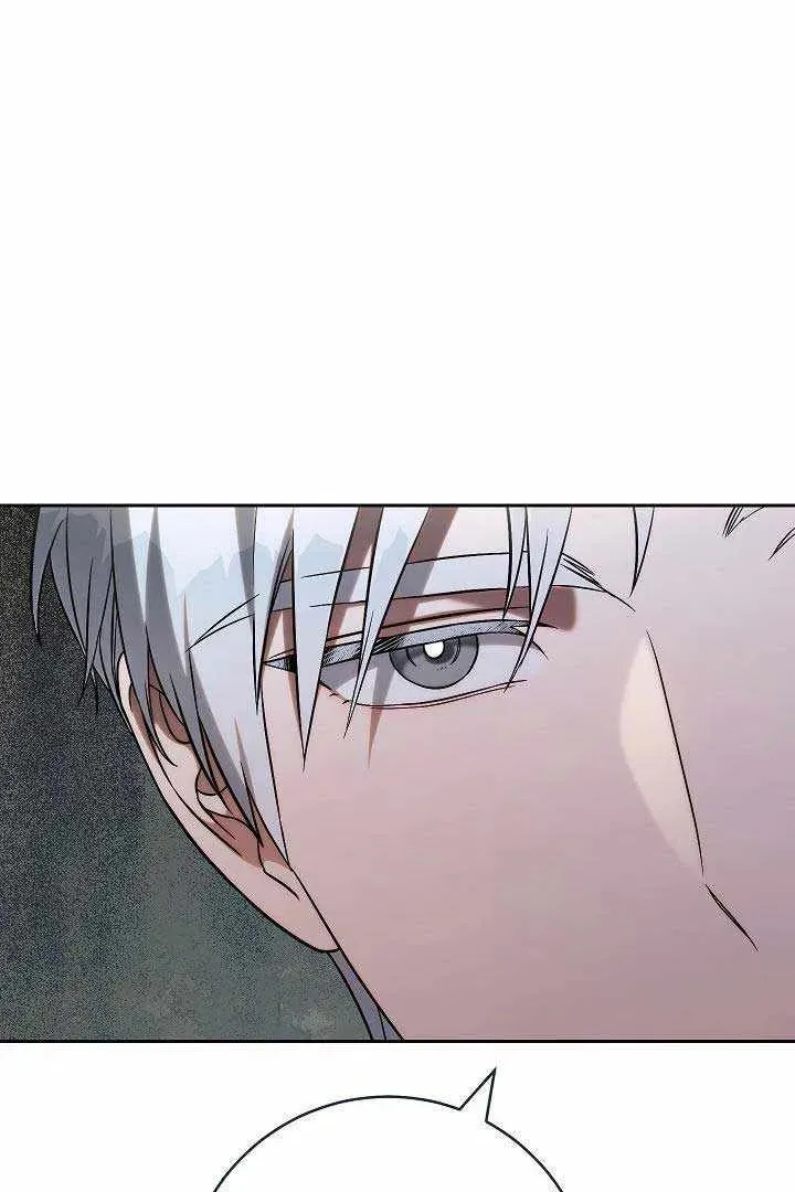 Сторінка 8