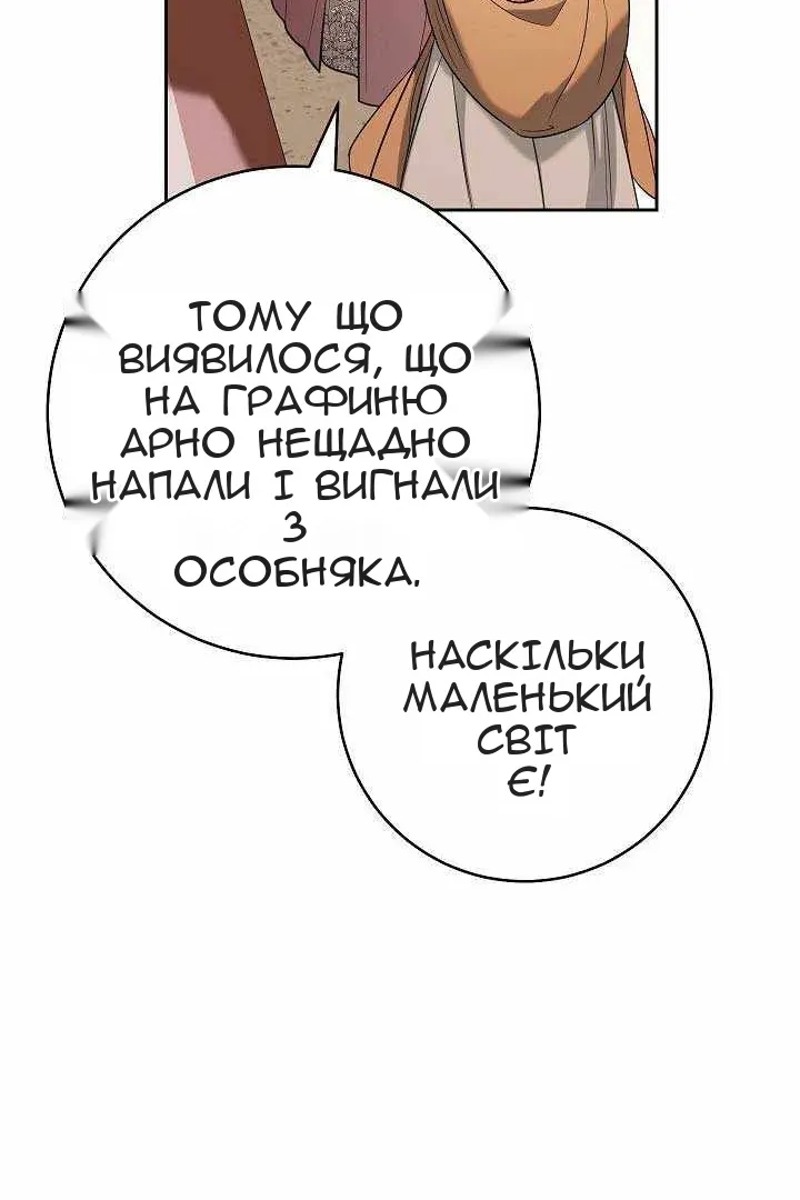 Сторінка 17