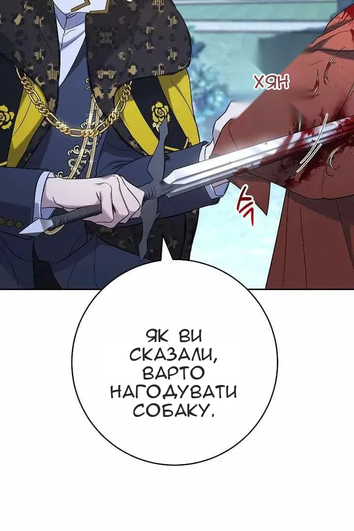 Сторінка 40