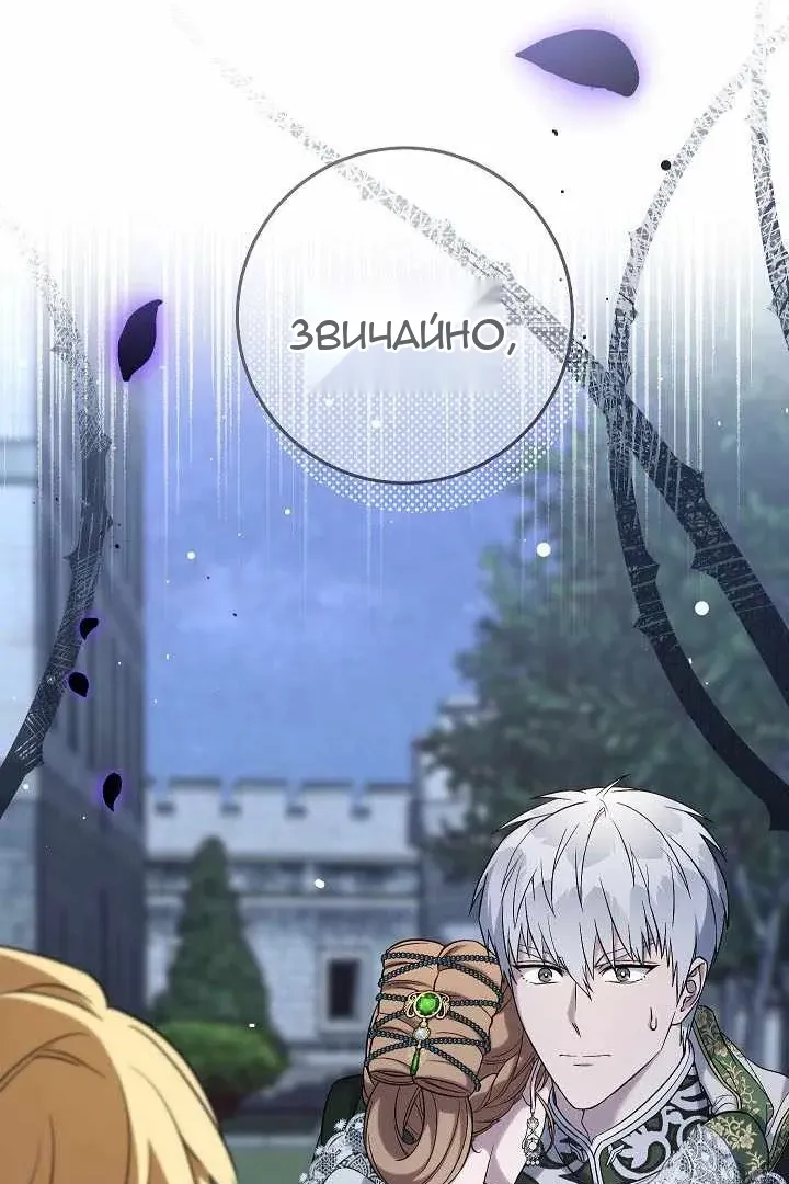 Сторінка 25