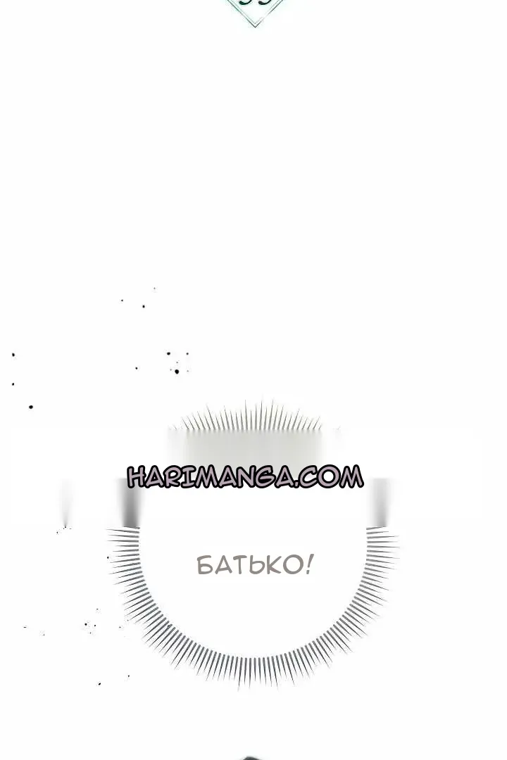 Сторінка 48