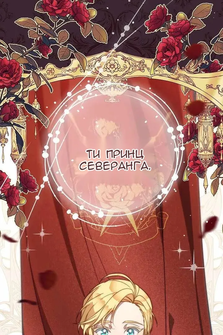 Сторінка 56