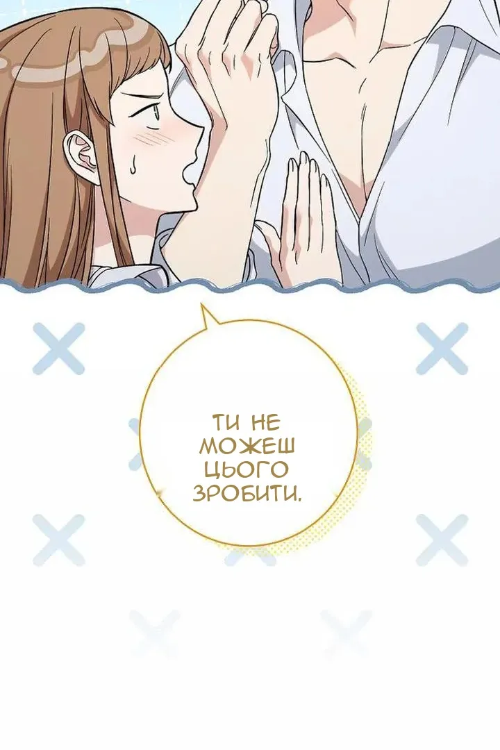 Сторінка 17