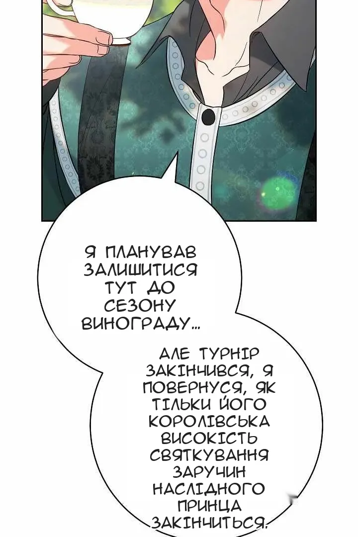 Сторінка 29