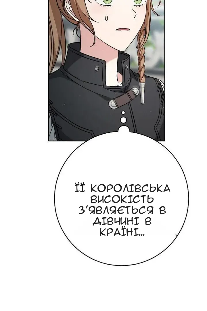 Сторінка 6