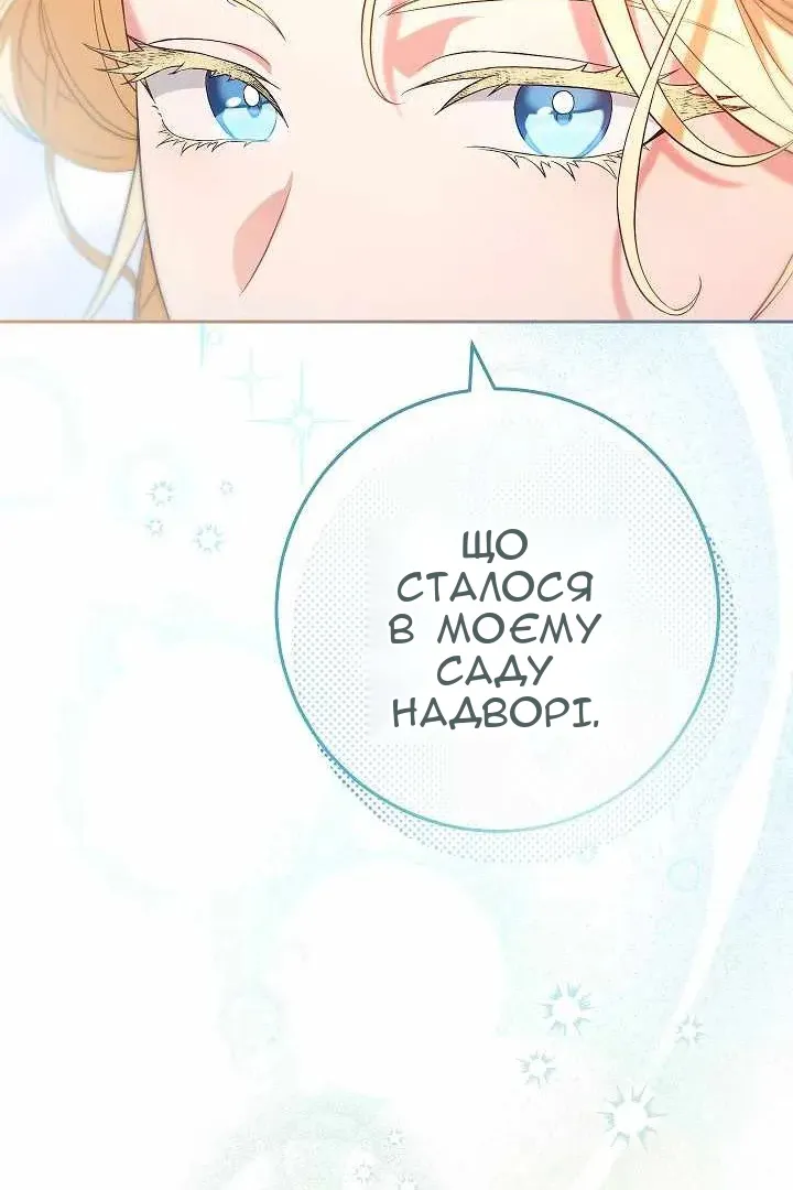 Сторінка 43