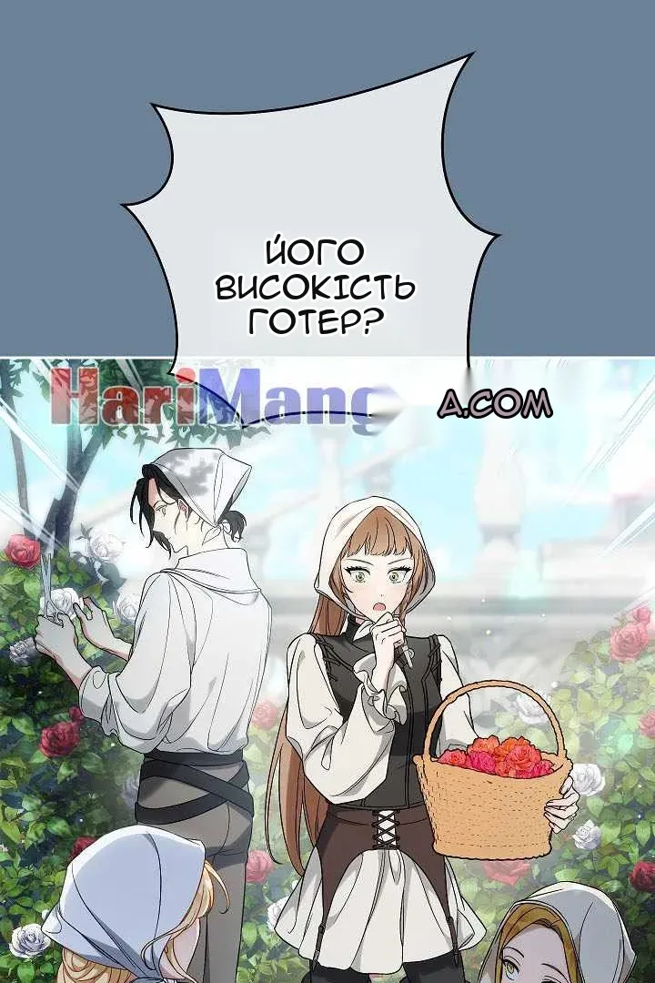 Сторінка 47