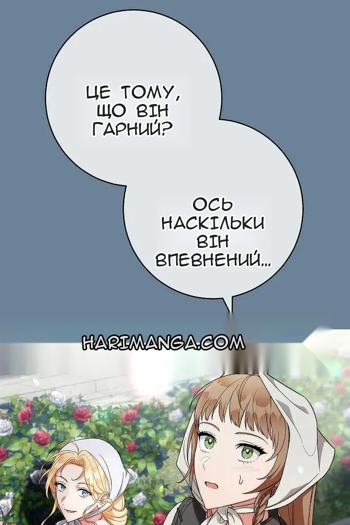 Сторінка 49