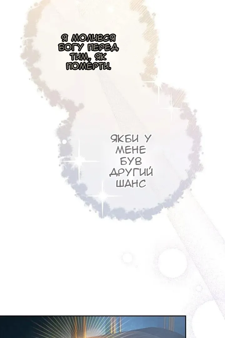 Сторінка 111