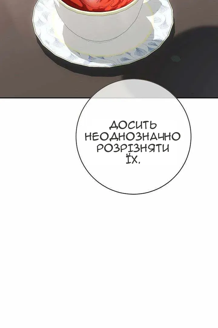 Сторінка 13