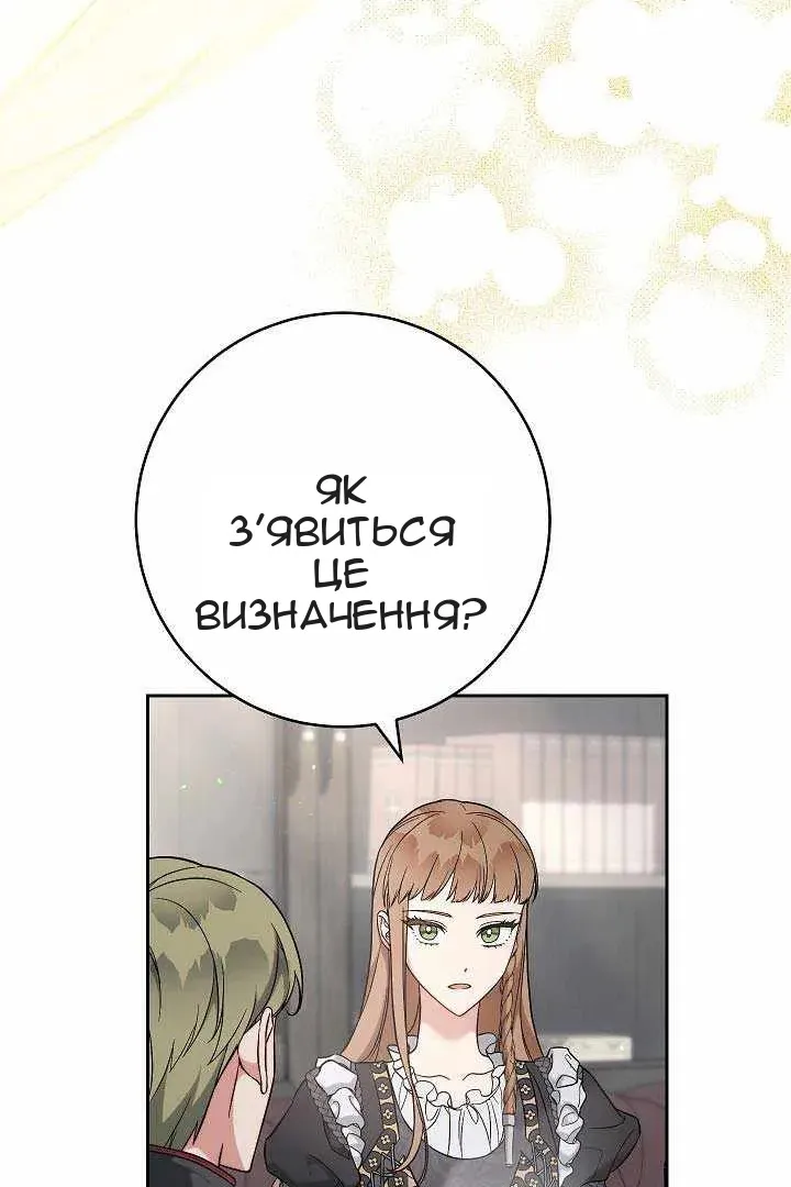 Сторінка 17