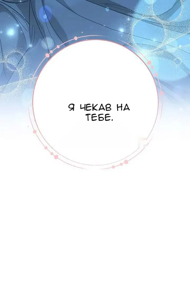Сторінка 5
