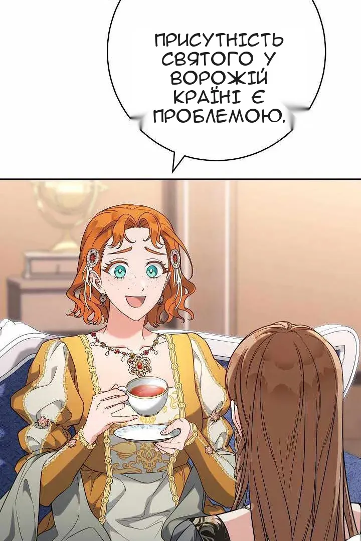 Сторінка 17
