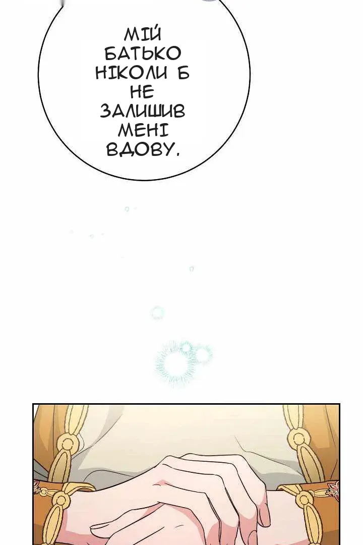 Сторінка 27