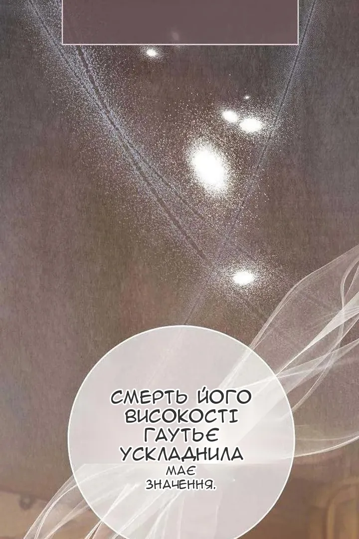 Сторінка 17