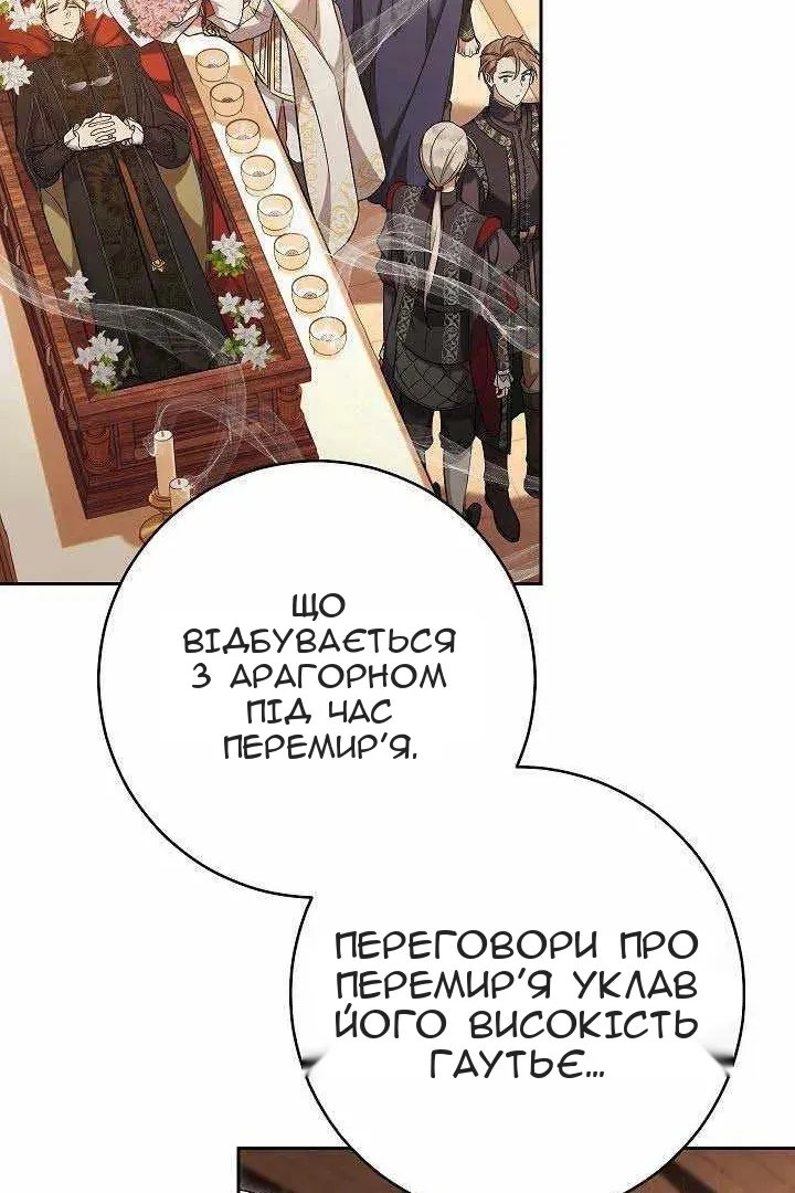 Сторінка 41