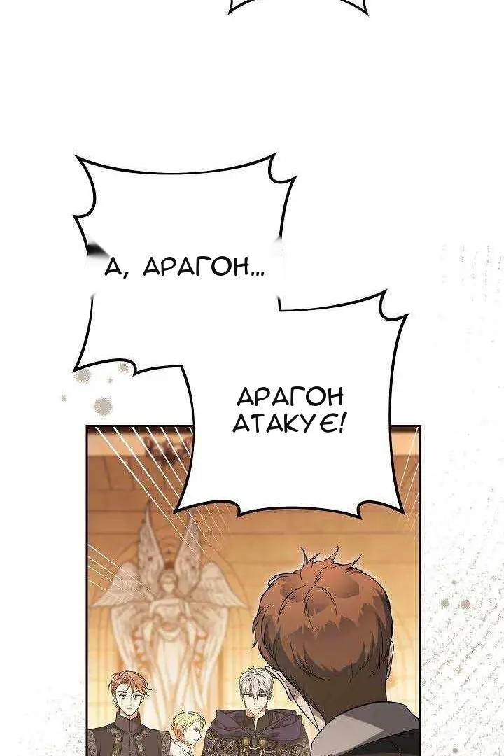 Сторінка 43
