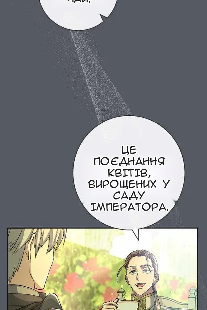 Сторінка 24