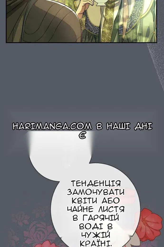 Сторінка 25