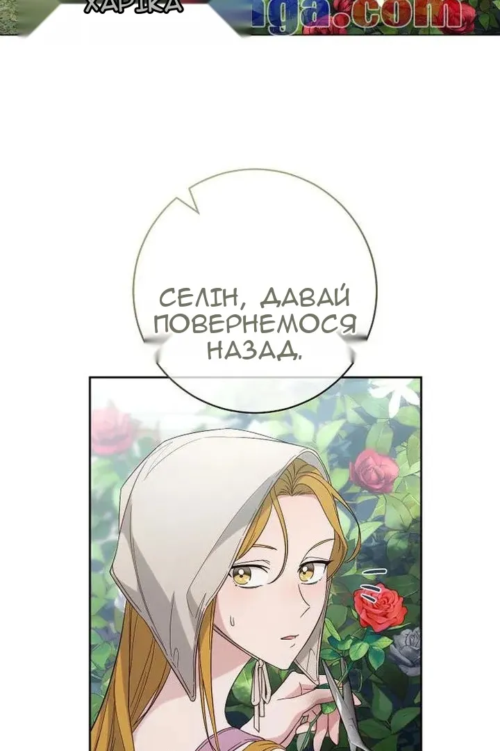 Сторінка 3