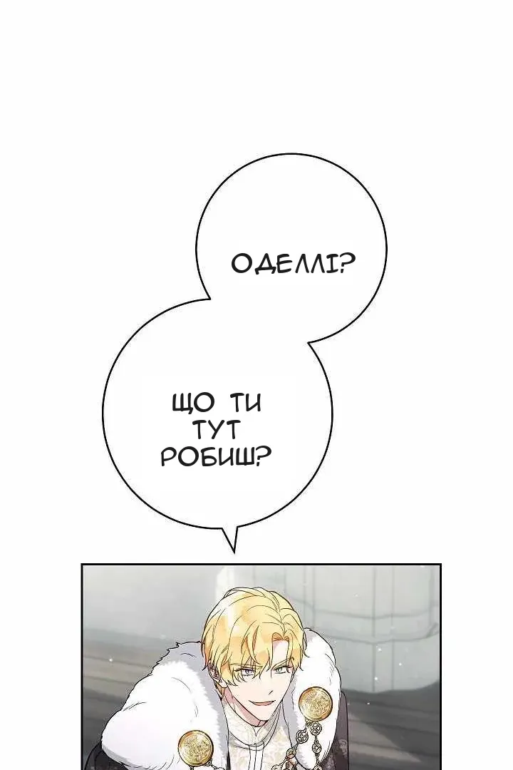 Сторінка 27