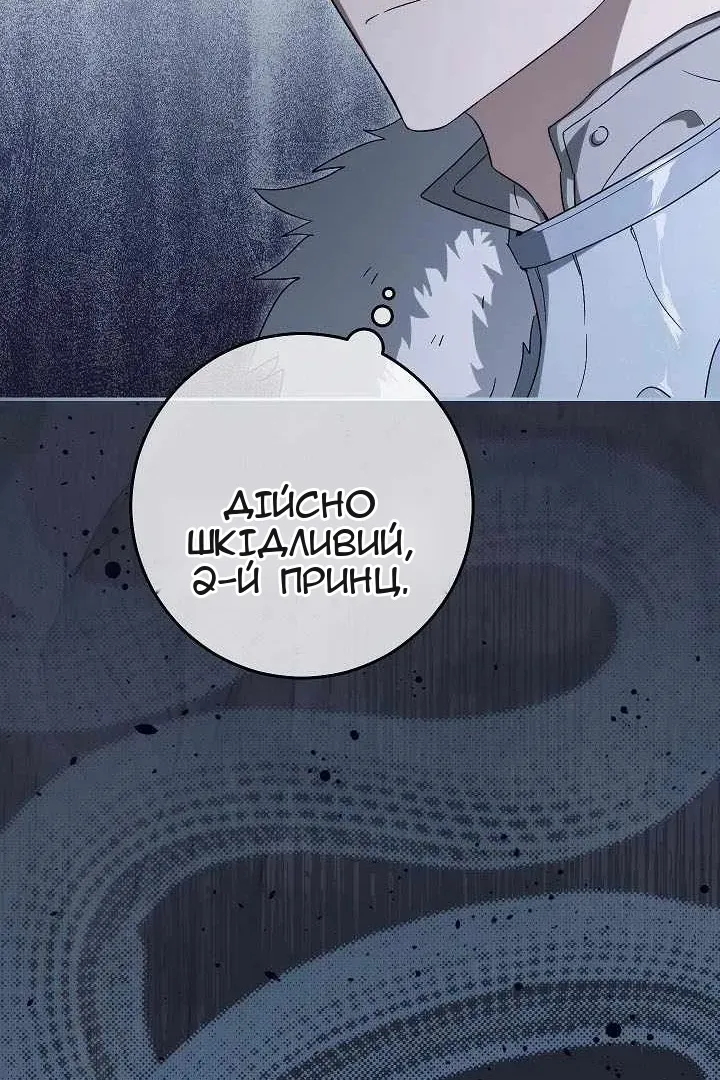 Сторінка 117