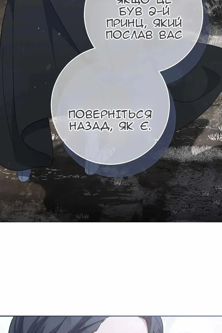 Сторінка 25