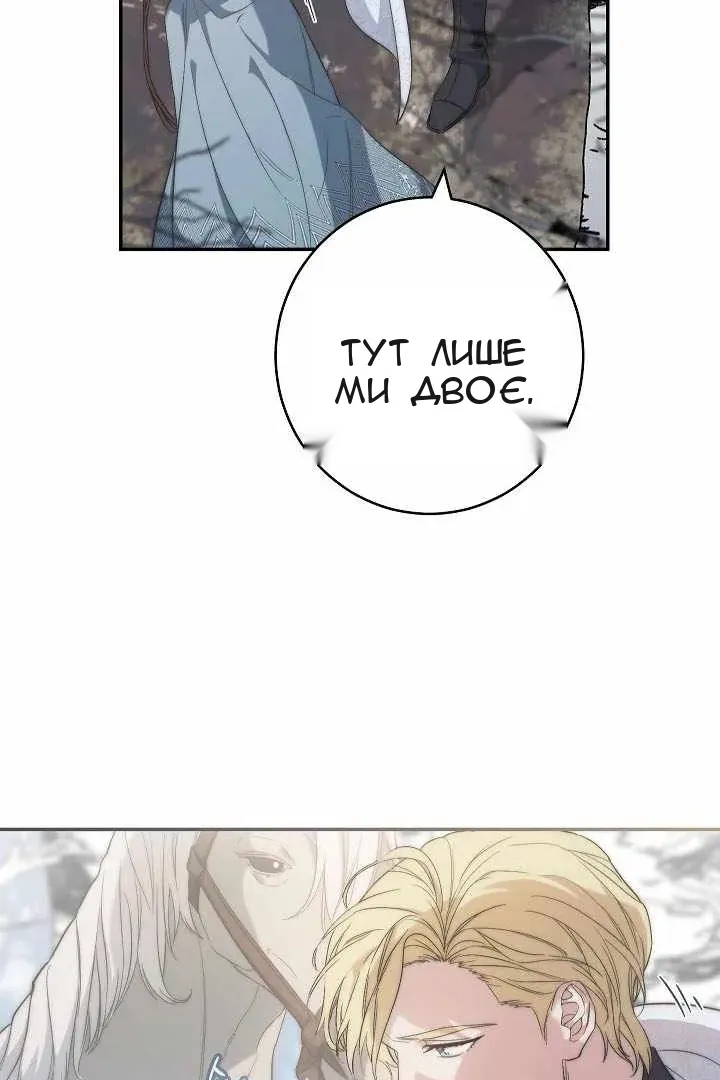 Сторінка 29