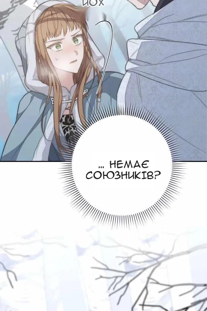 Сторінка 33