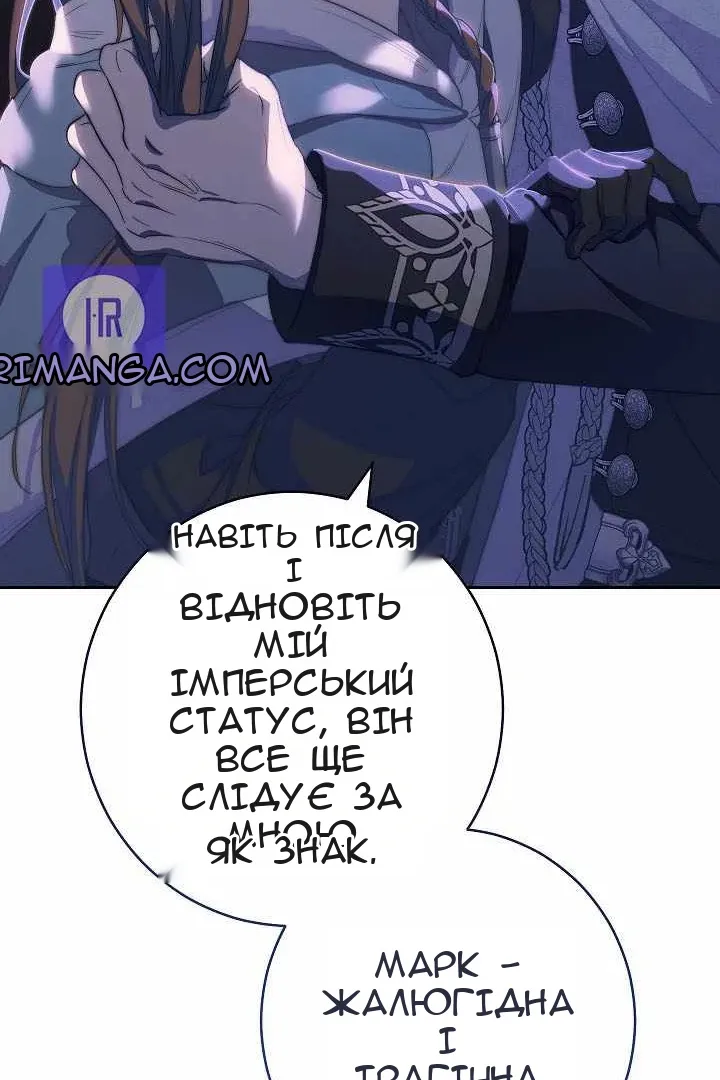Сторінка 41