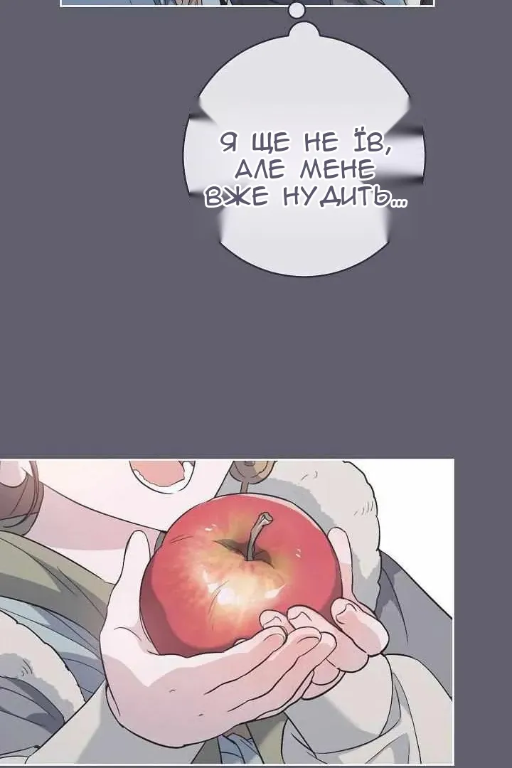 Сторінка 47