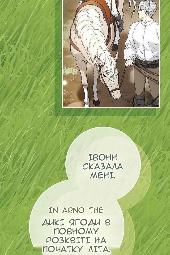 Сторінка 61
