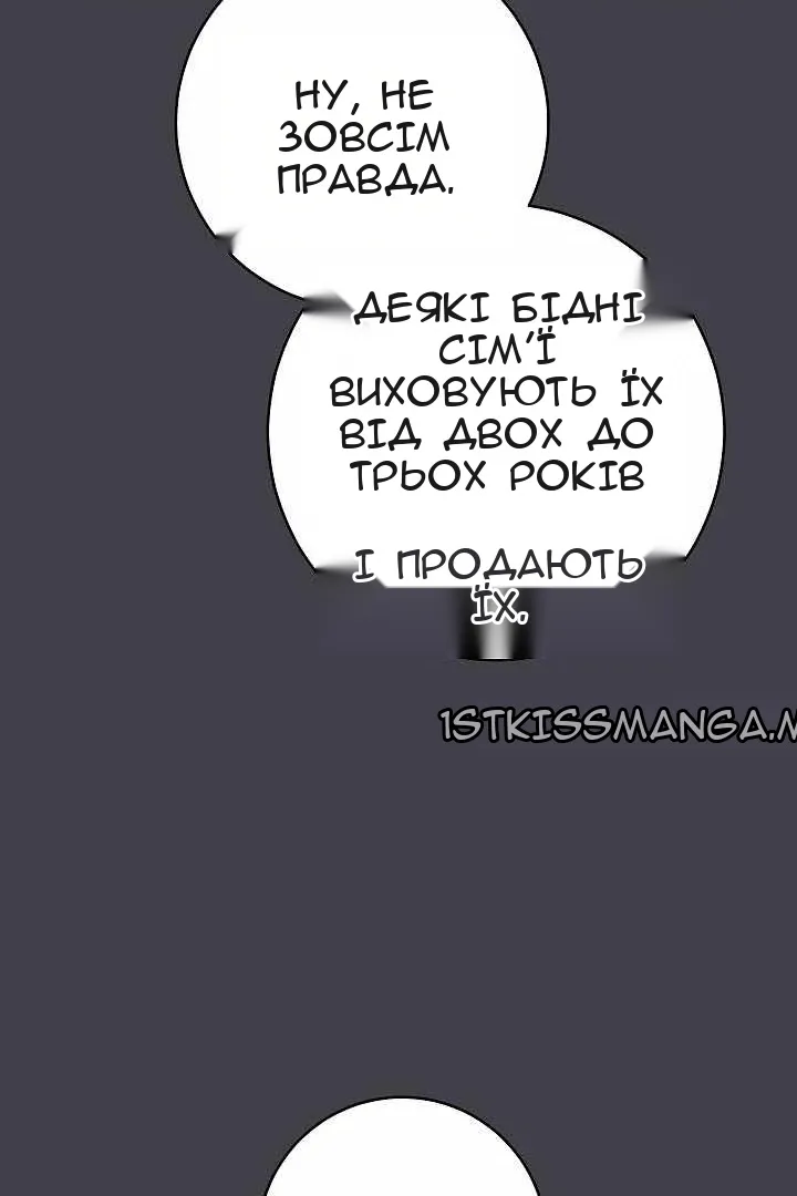 Сторінка 33