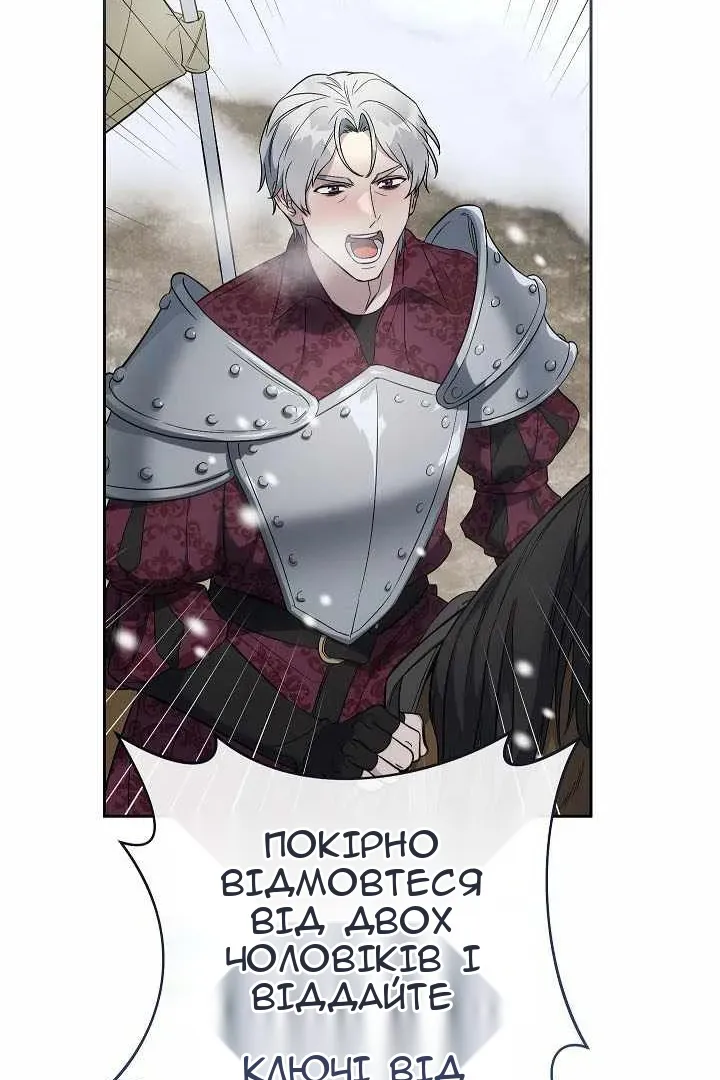 Сторінка 101