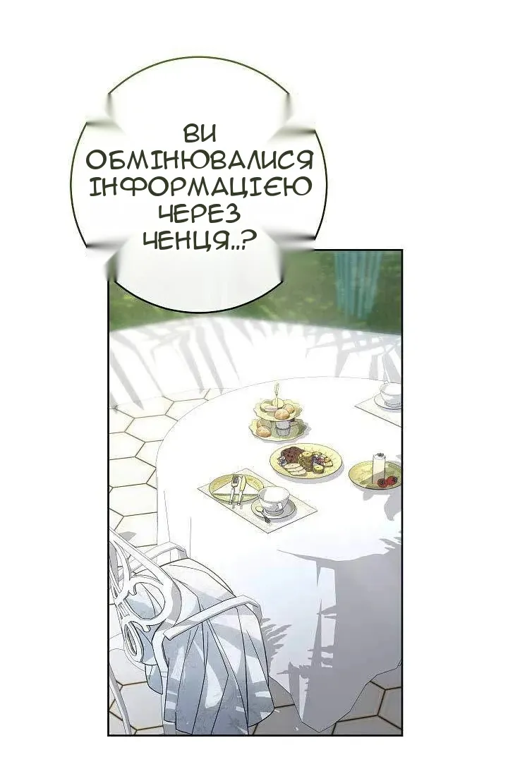 Сторінка 41