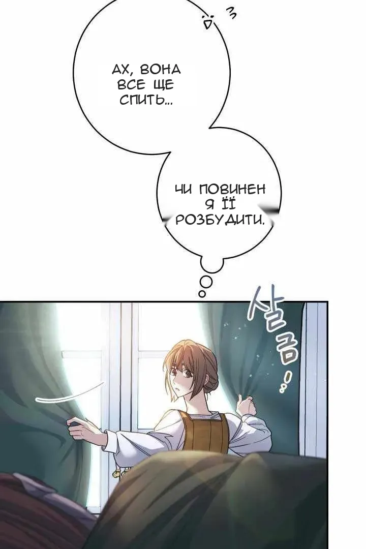 Сторінка 11