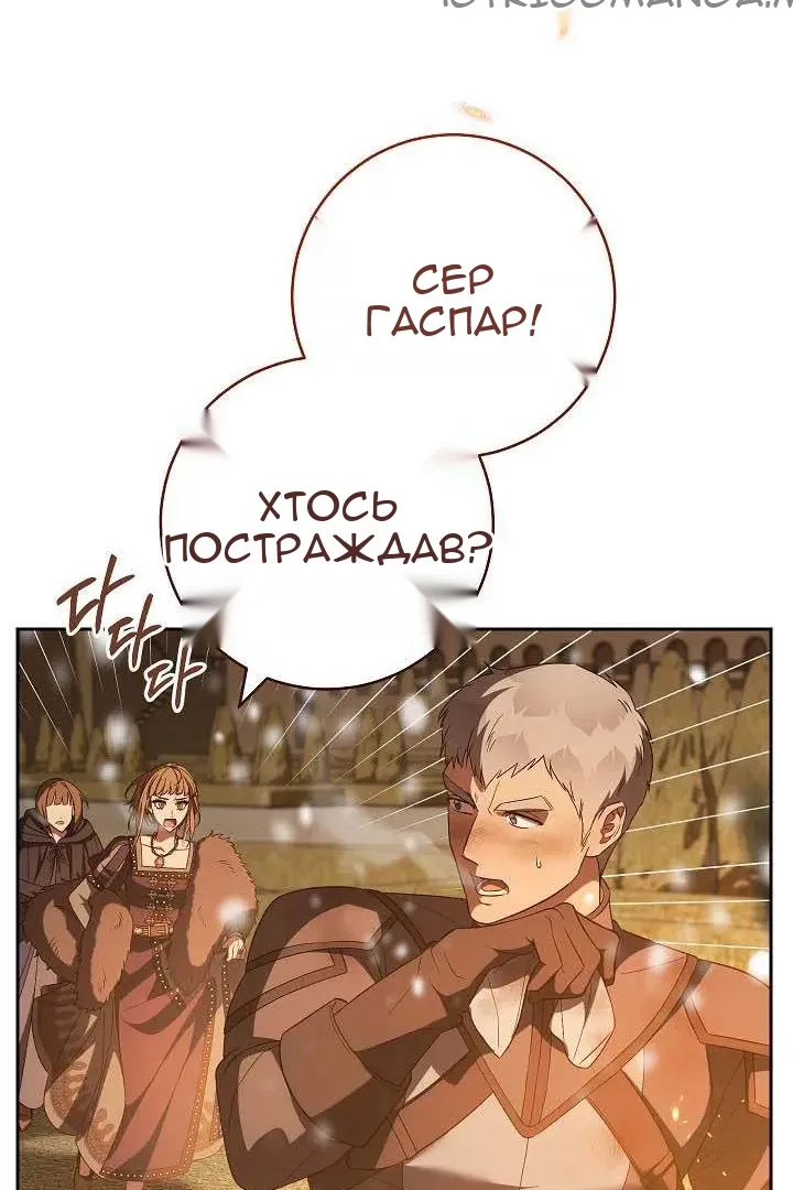 Сторінка 55